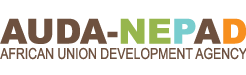 AUDA-NEPAD logo